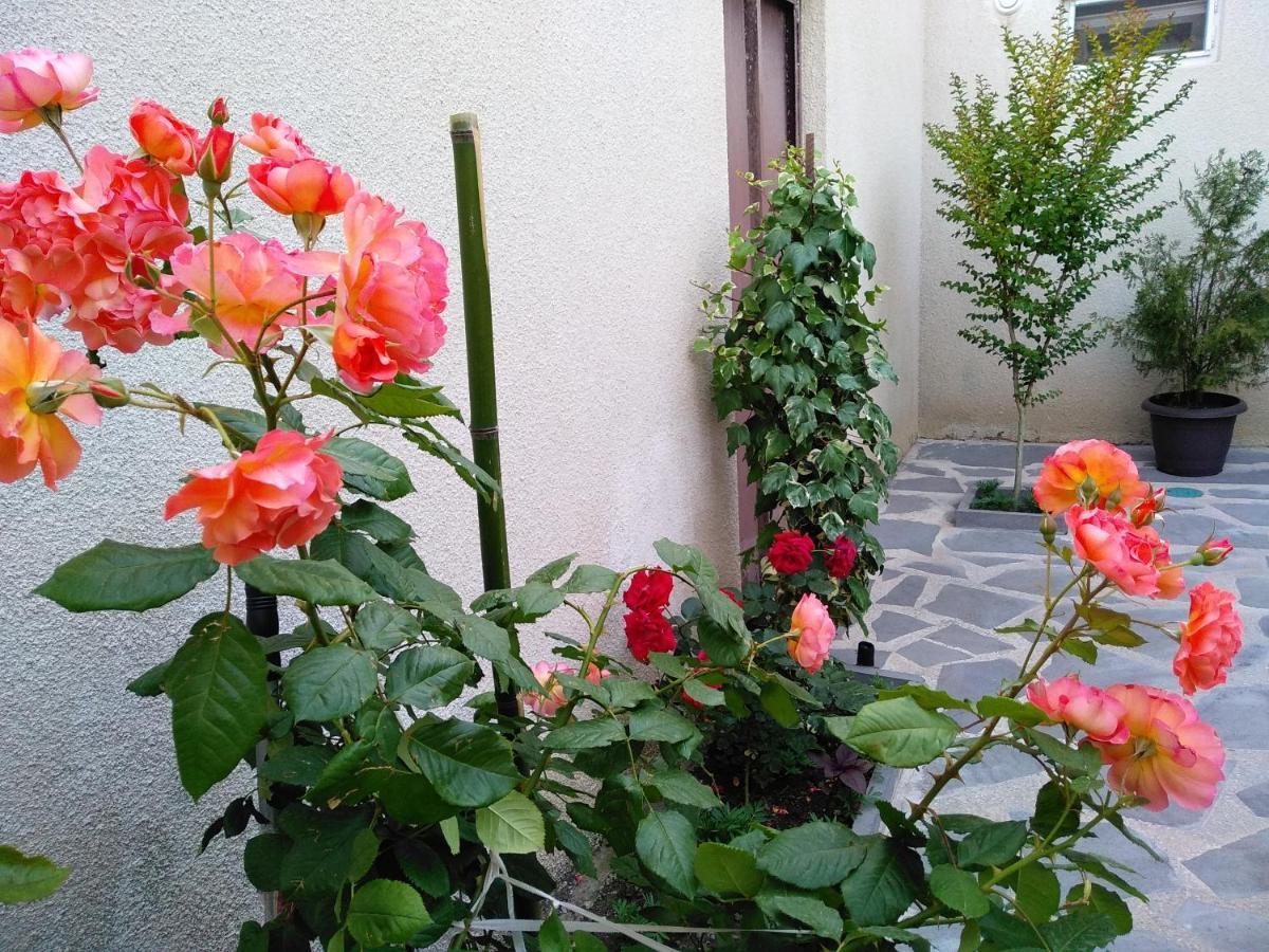 Old City Lg Apartments Tbilisi Exterior photo